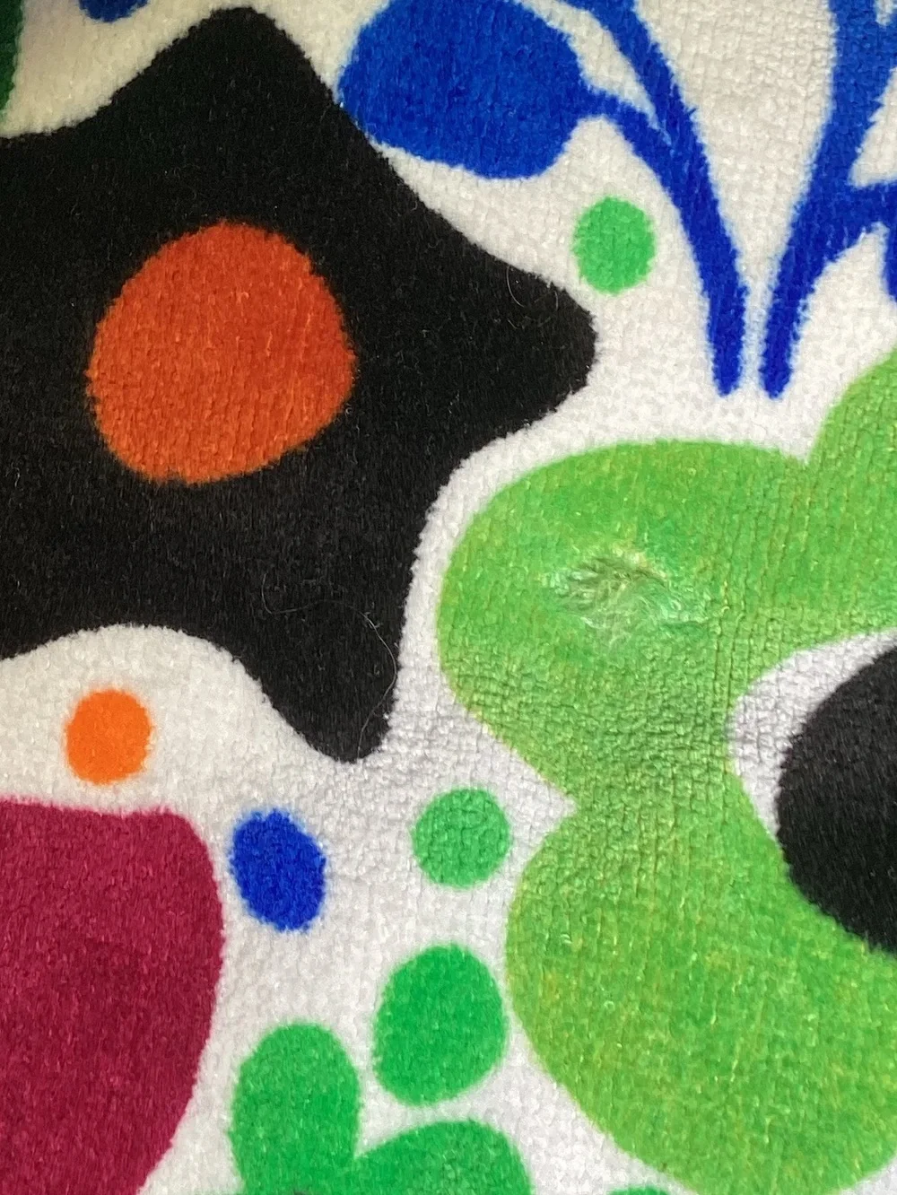 Brighton Multicolor Floral Beach Towel with Green Hem